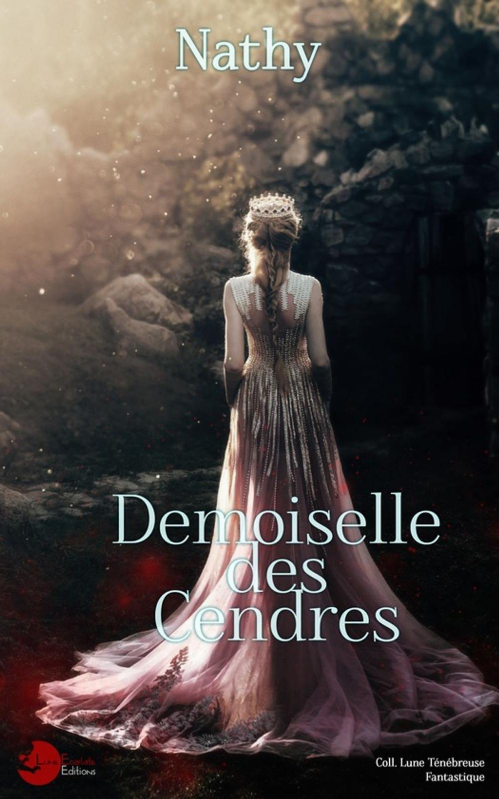 Big bigCover of Demoiselle des Cendres