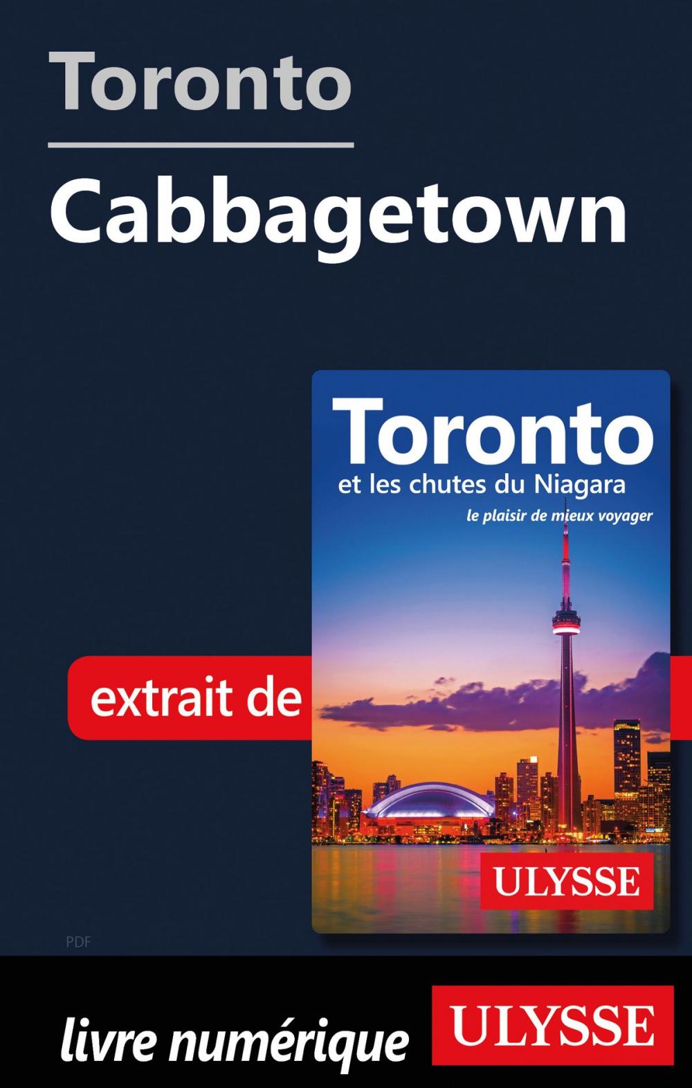 Big bigCover of Toronto - Cabbagetown