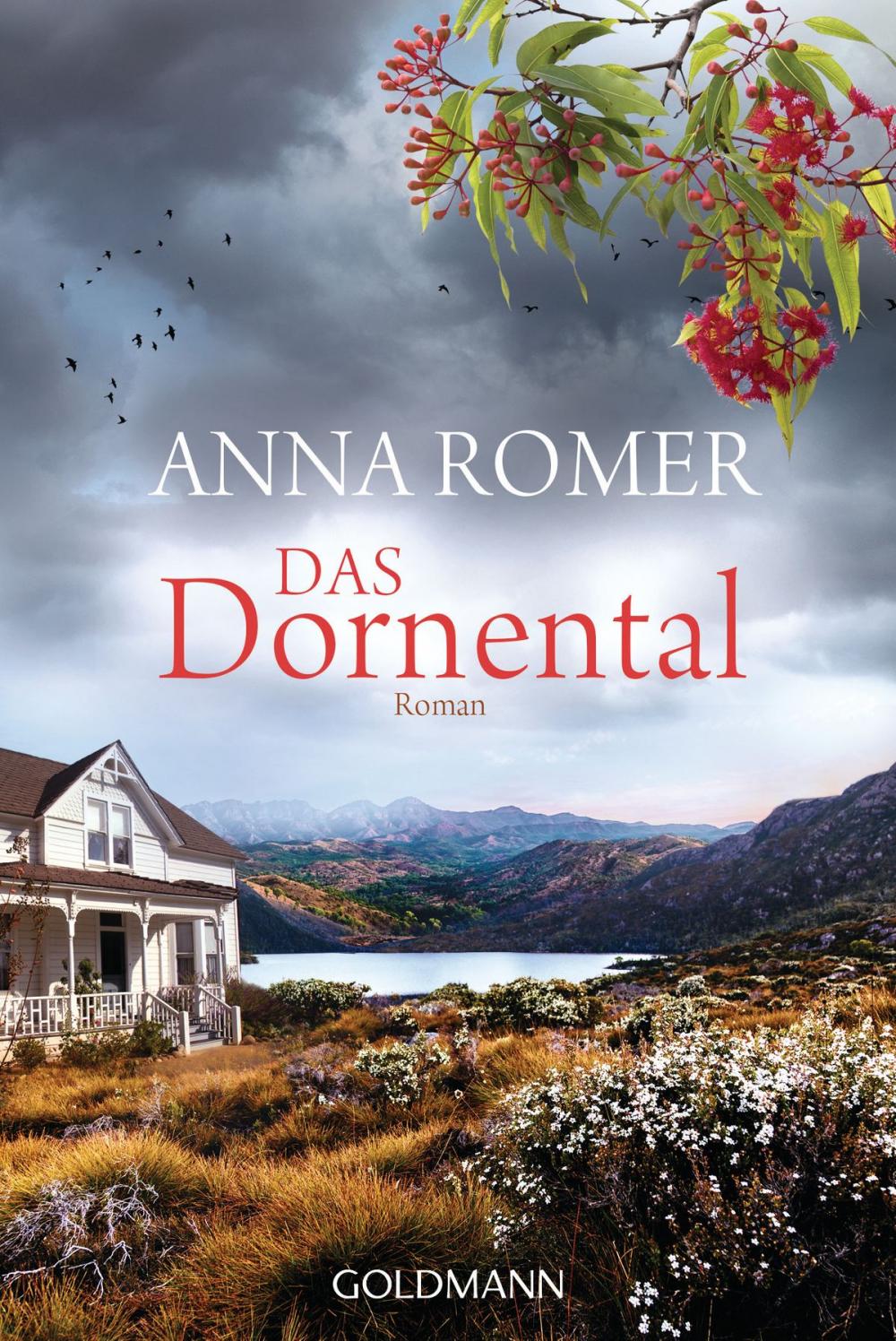 Big bigCover of Das Dornental