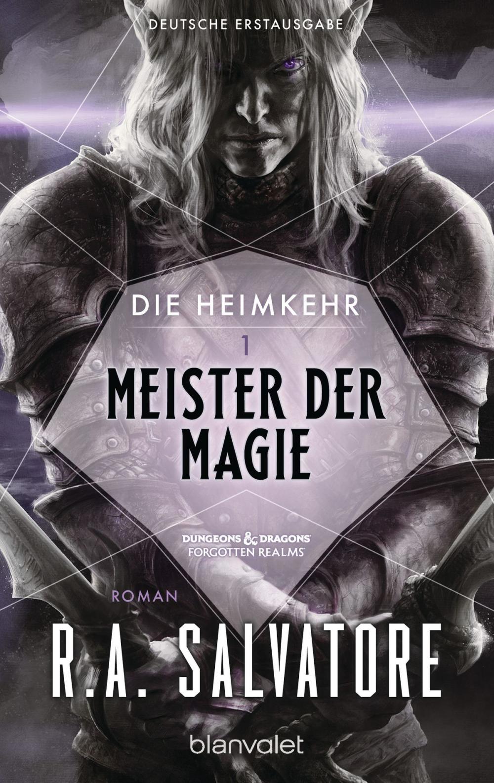 Big bigCover of Die Heimkehr 1 - Meister der Magie