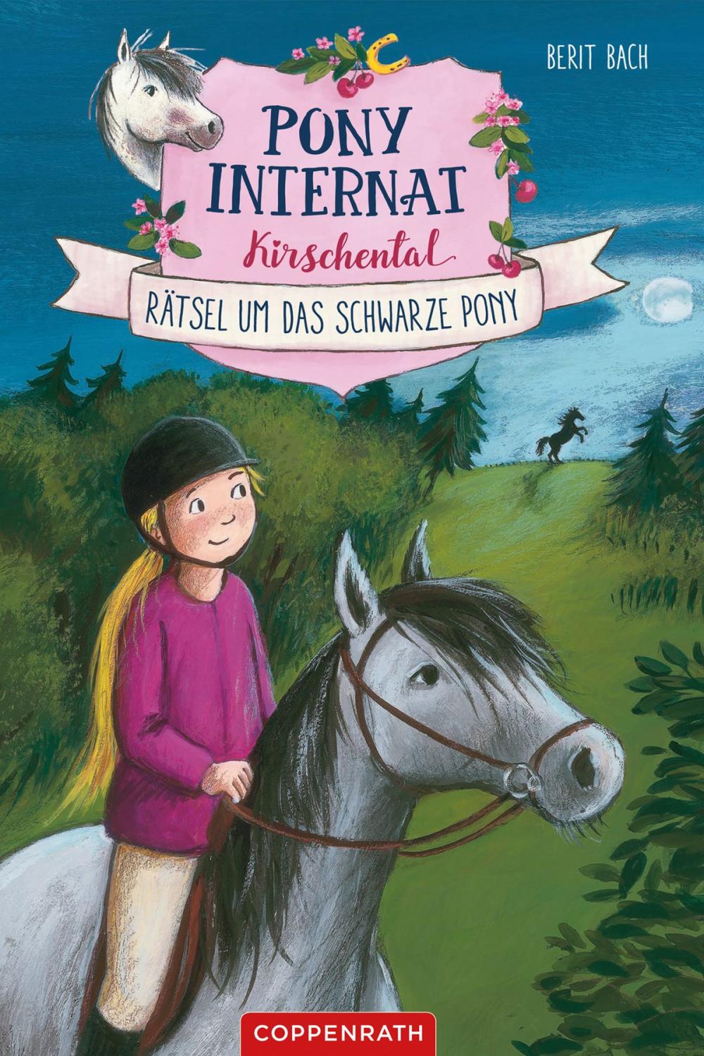 Big bigCover of Pony-Internat Kirschental (Bd. 3)