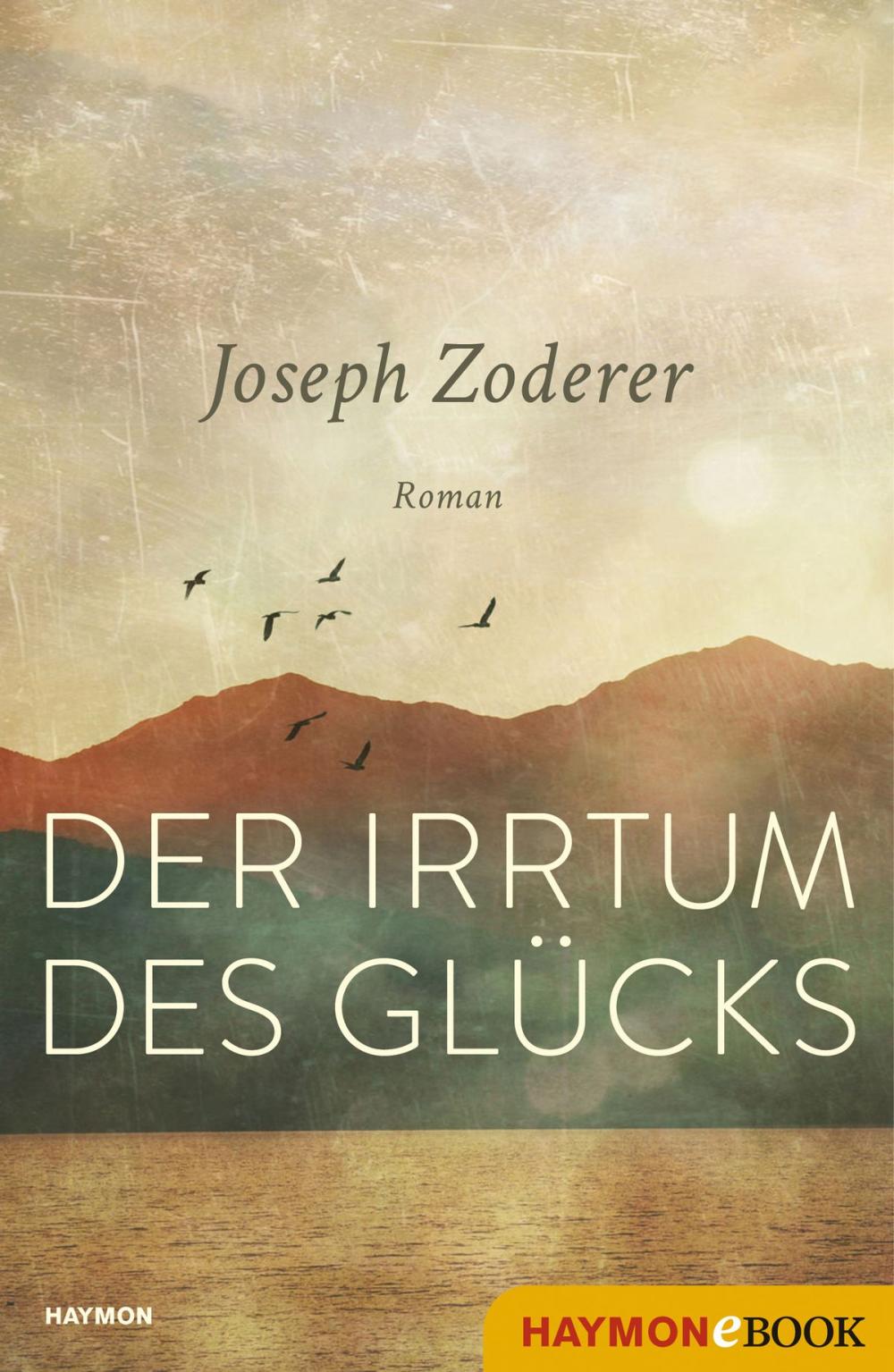 Big bigCover of Der Irrtum des Glücks