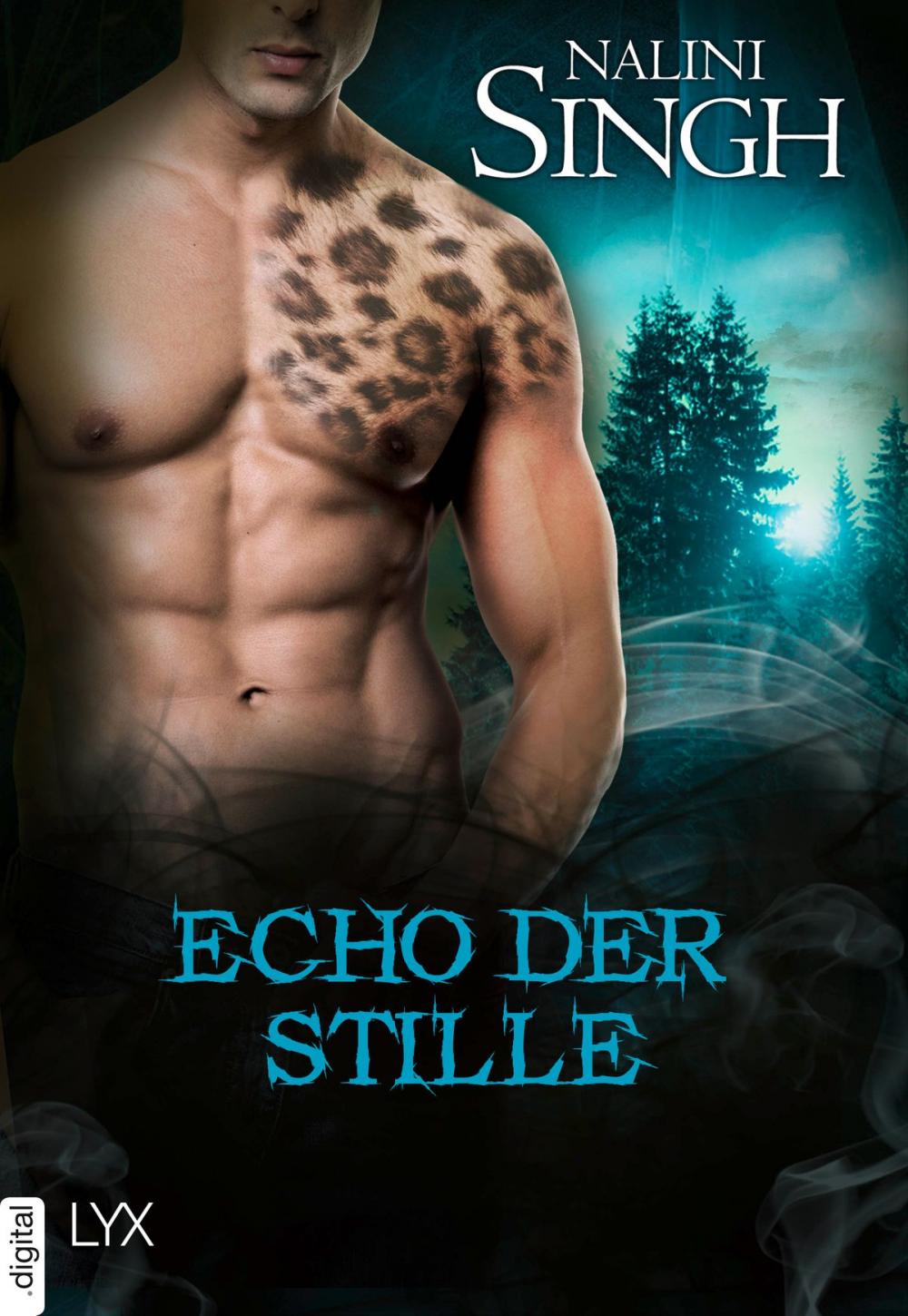 Big bigCover of Echo der Stille