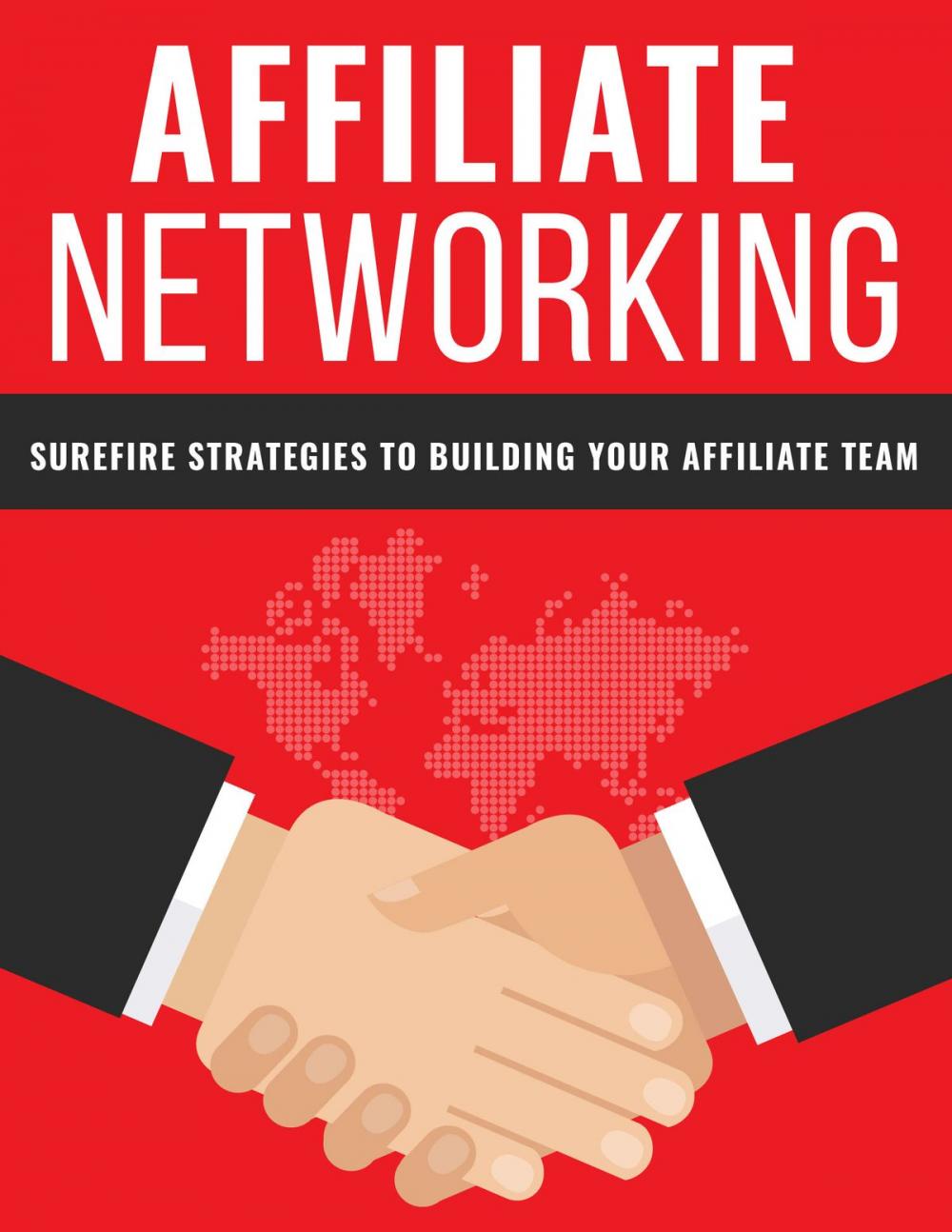 Big bigCover of Affiliate Networking