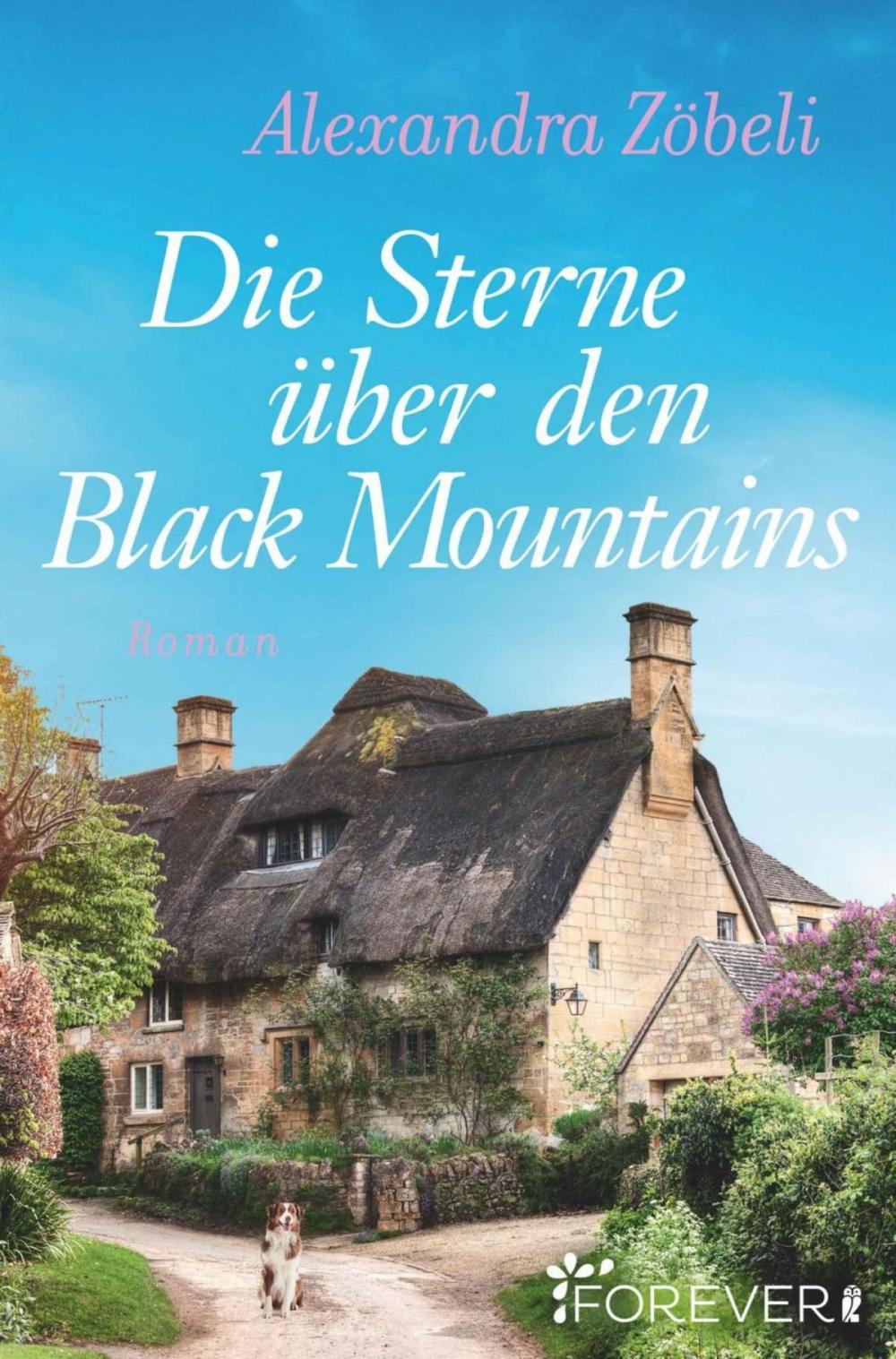 Big bigCover of Die Sterne über den Black Mountains