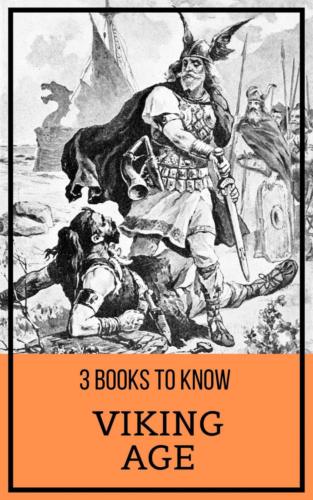 Big bigCover of 3 books to know: Viking Age