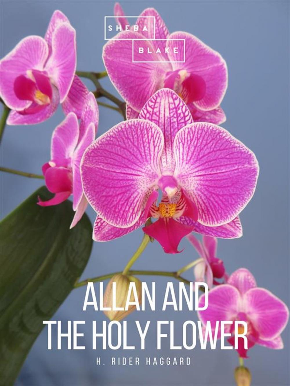 Big bigCover of Allan and the Holy Flower