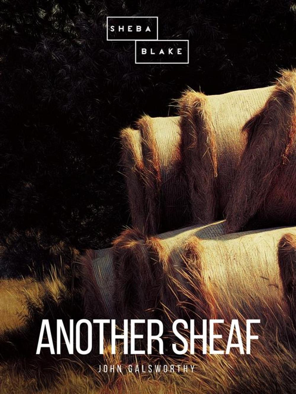 Big bigCover of Another Sheaf