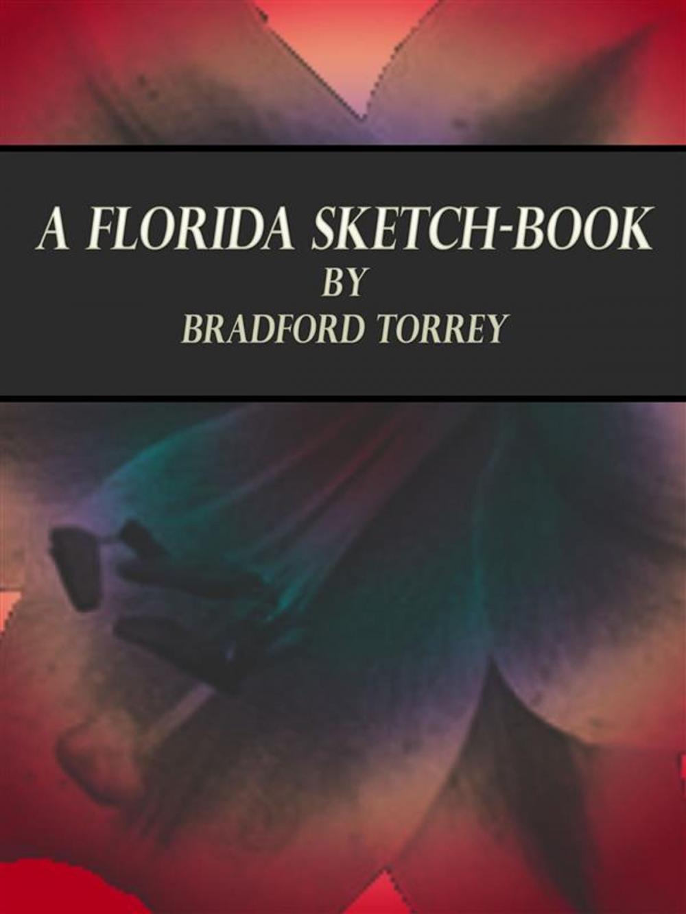 Big bigCover of A Florida Sketch-Book