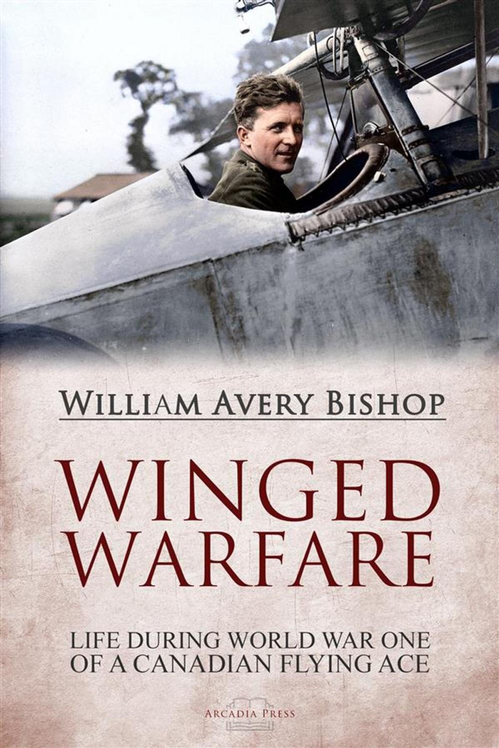 Big bigCover of Winged Warfare