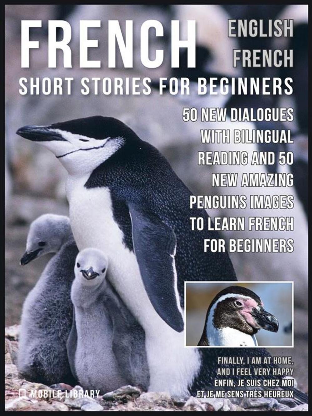 Big bigCover of French Short Stories for Beginners - English French