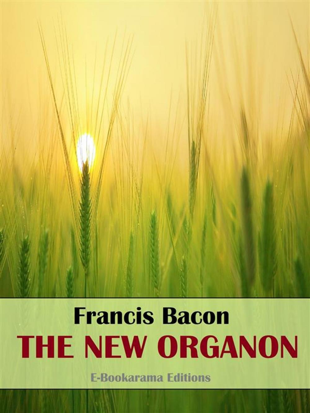 Big bigCover of The New Organon