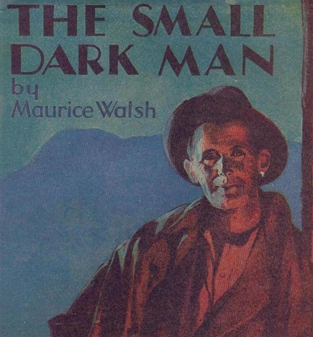 Big bigCover of The Small Dark Man