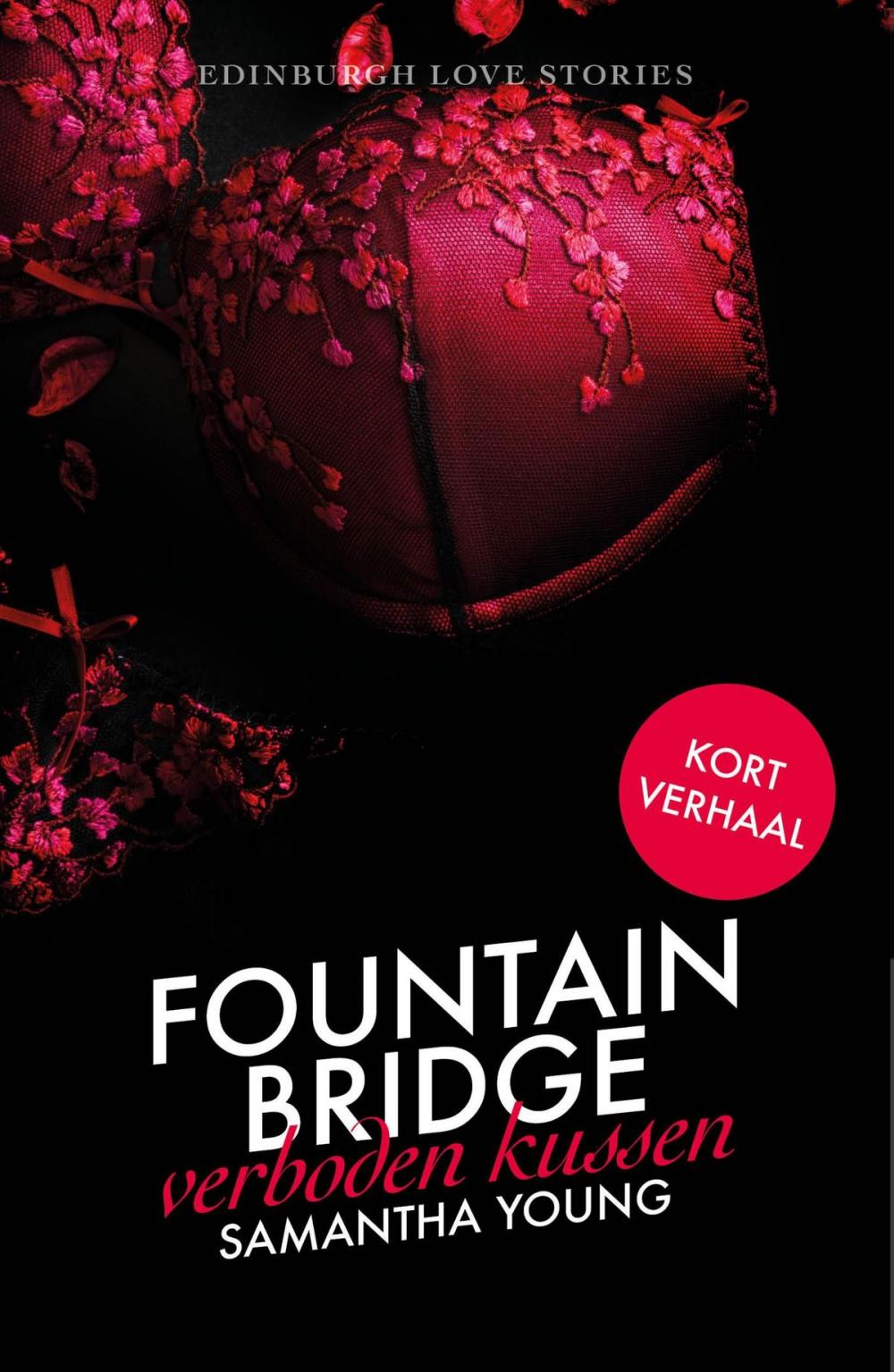 Big bigCover of Fountain Bridge - Verboden kussen