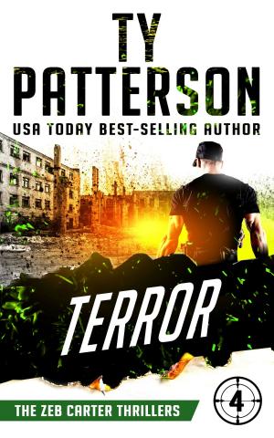 Cover of the book Terror by Mark Abel