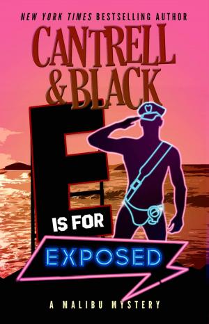 Cover of the book "E" is for Exposed by Chris Brookes