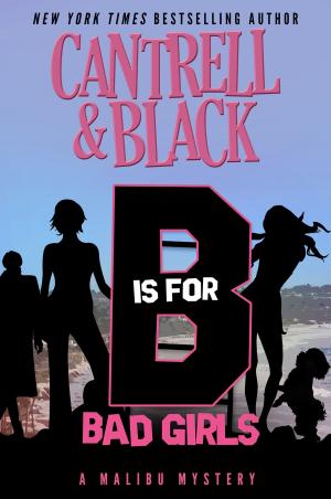 Book cover of "B" is for Bad Girls