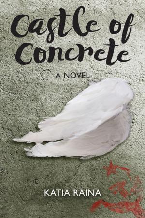 Cover of the book Castle of Concrete by Michel Zévaco