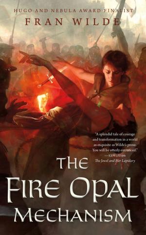 Cover of the book The Fire Opal Mechanism by J. David Phillips