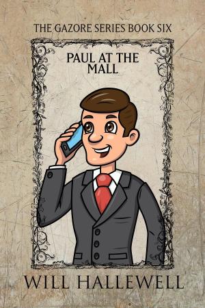 Cover of the book Paul at the Mall by M.R. Vallone