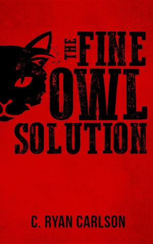 Cover of the book The Fine Owl Solution by Martin Tarpey