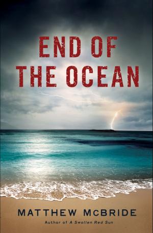 Cover of the book End of the Ocean by J.D. Rhoades