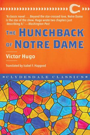 Cover of the book The Hunchback of Notre Dame by George McCarthy