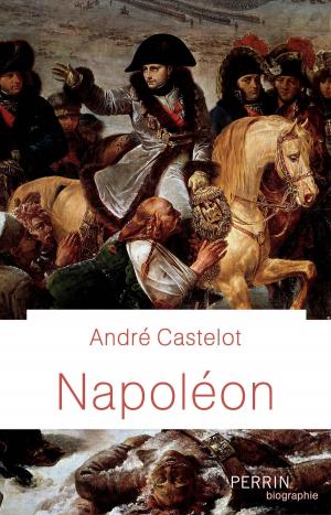 Cover of the book Napoléon by Evan S. CONNELL