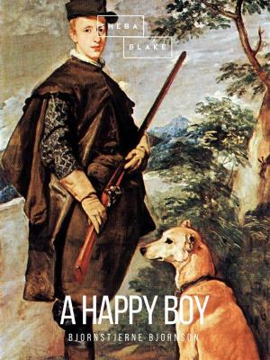 Cover of the book A Happy Boy by Susan Gee Heino