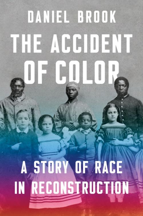 Cover of the book The Accident of Color: A Story of Race in Reconstruction by Daniel Brook, W. W. Norton & Company