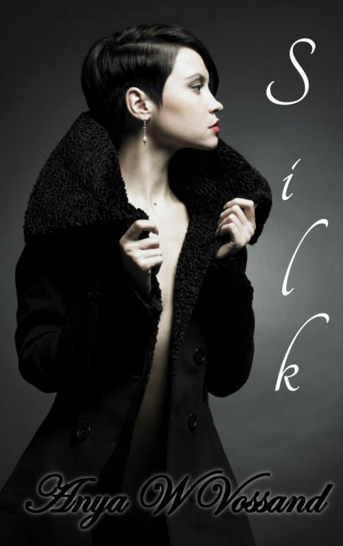 Cover of the book Silk by Anya W Vossand, Anya W Vossand