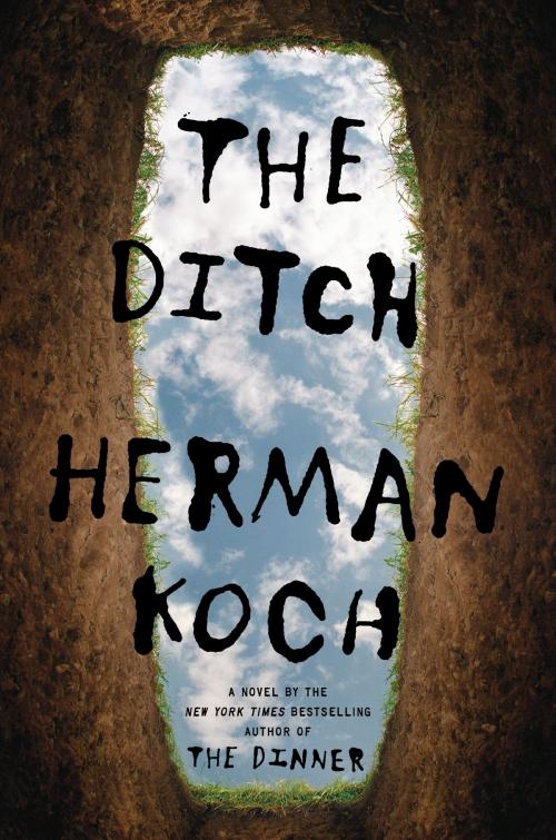 Cover of the book The Ditch by Herman Koch, Crown/Archetype