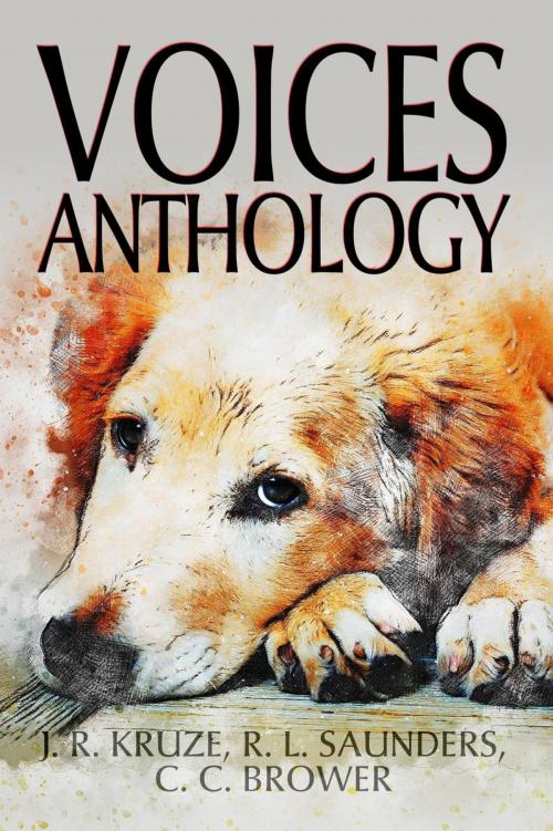 Cover of the book Voices Anthology by J. R. Kruze, C. C. Brower, R. L. Saunders, Living Sensical Press