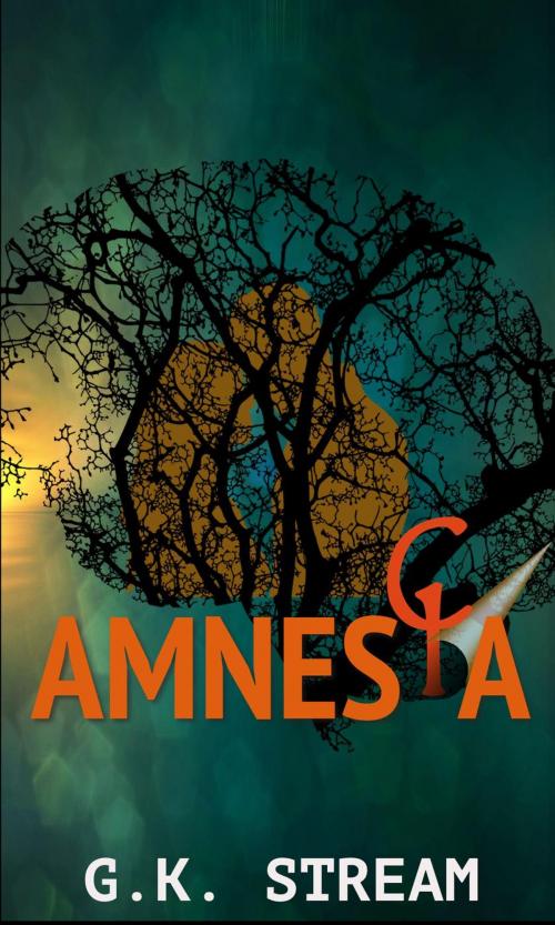 Cover of the book Amnesia by G.K. Stream, G.K. Stream