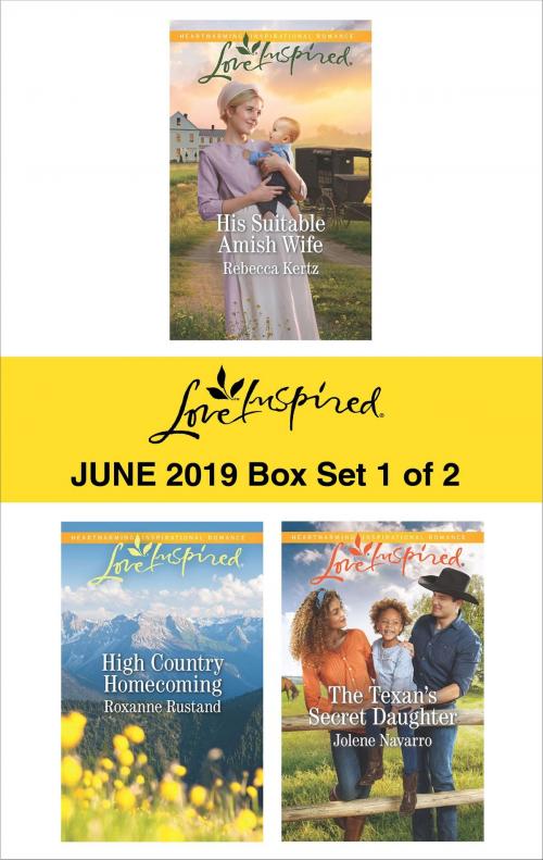 Cover of the book Harlequin Love Inspired June 2019 - Box Set 1 of 2 by Rebecca Kertz, Roxanne Rustand, Jolene Navarro, Harlequin