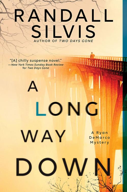 Cover of the book A Long Way Down by Randall Silvis, Sourcebooks