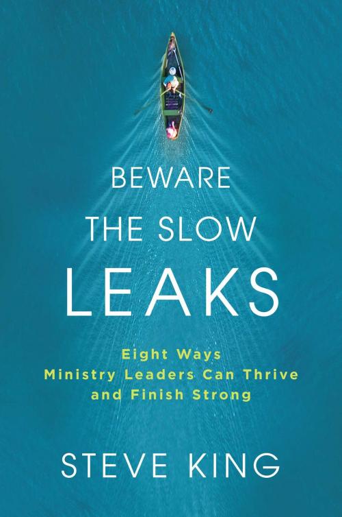 Cover of the book Beware the Slow Leaks by Steve King, Salem Books