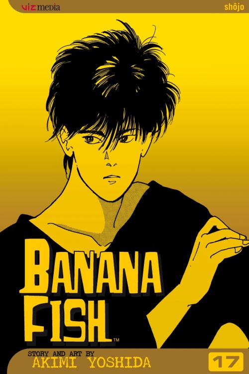 Cover of the book Banana Fish, Vol. 17 by Akimi Yoshida, VIZ Media