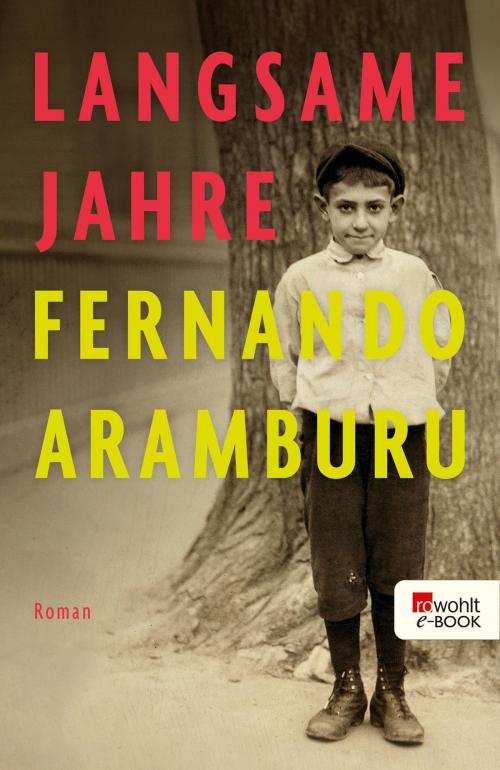 Cover of the book Langsame Jahre by Fernando Aramburu, Rowohlt E-Book