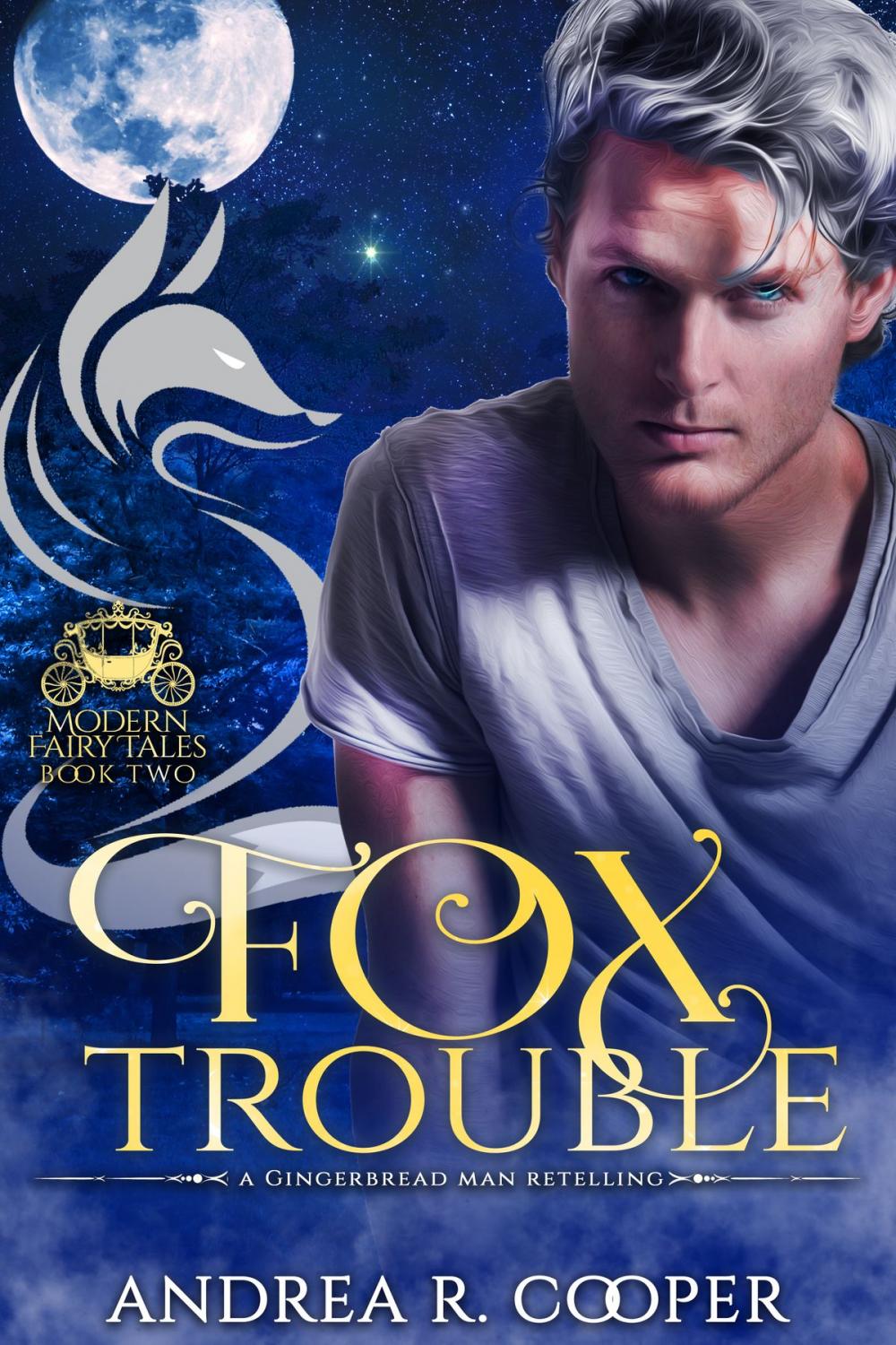 Big bigCover of Fox Trouble