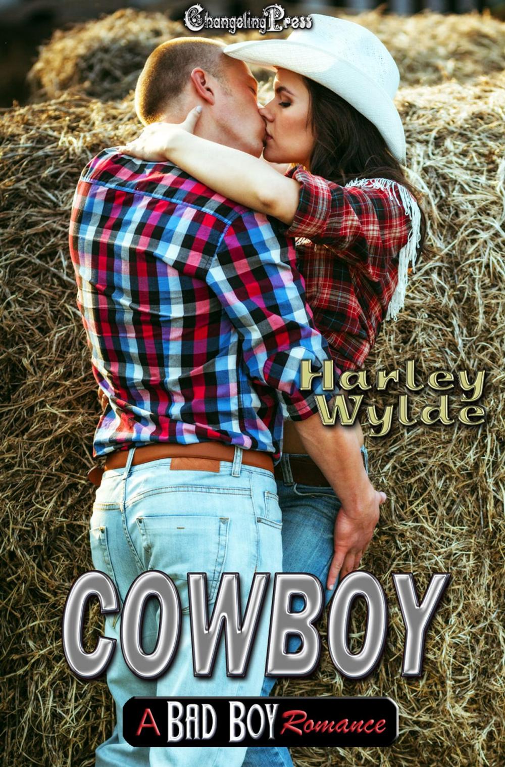 Big bigCover of Cowboy