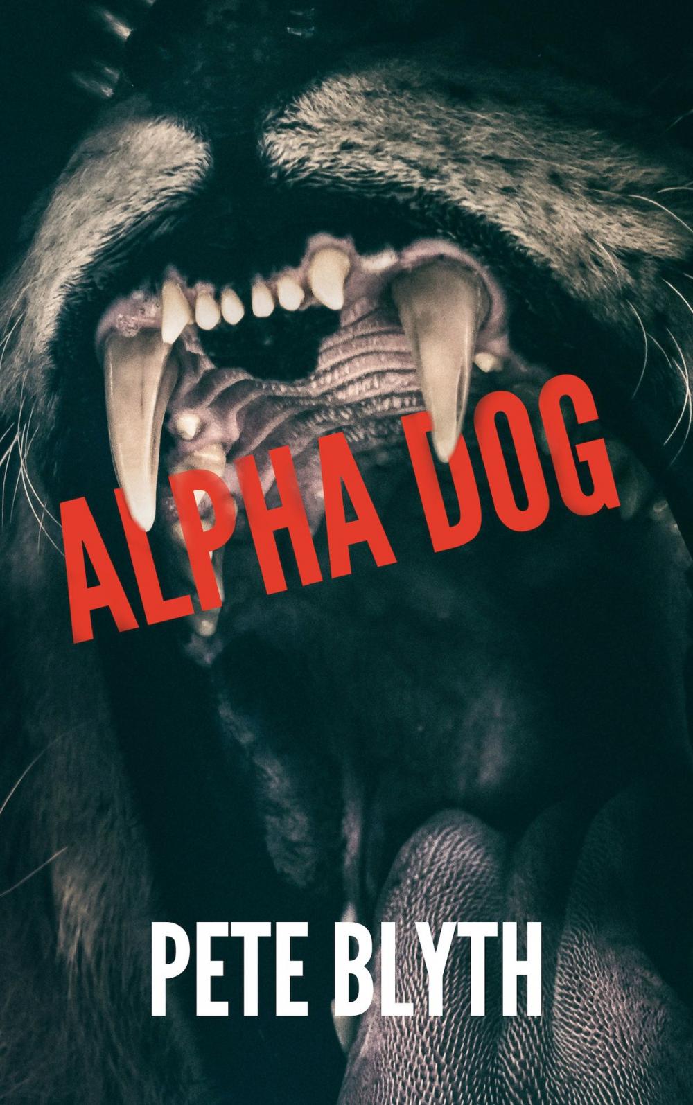 Big bigCover of Alphadog