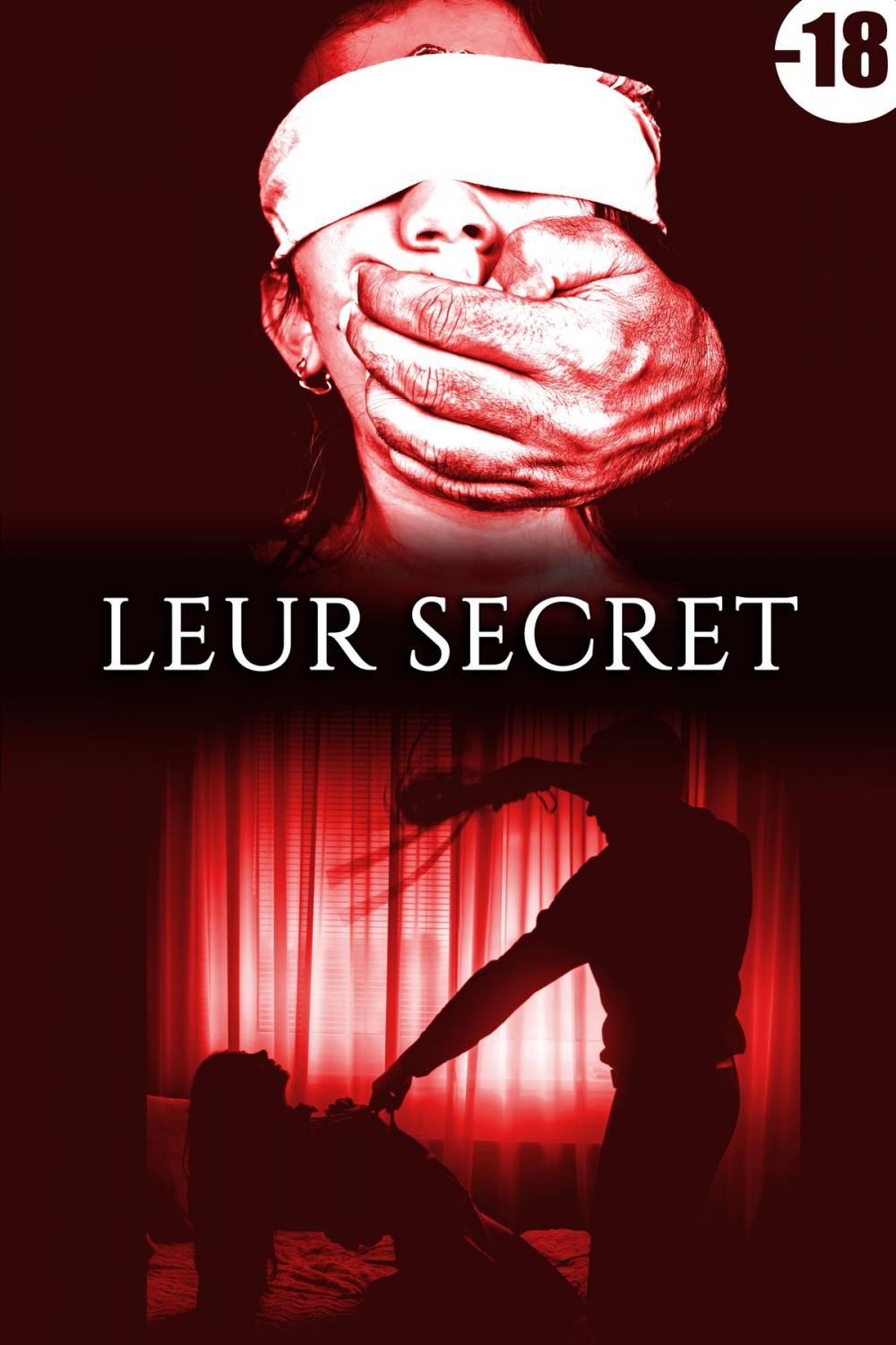 Big bigCover of Leur Secret