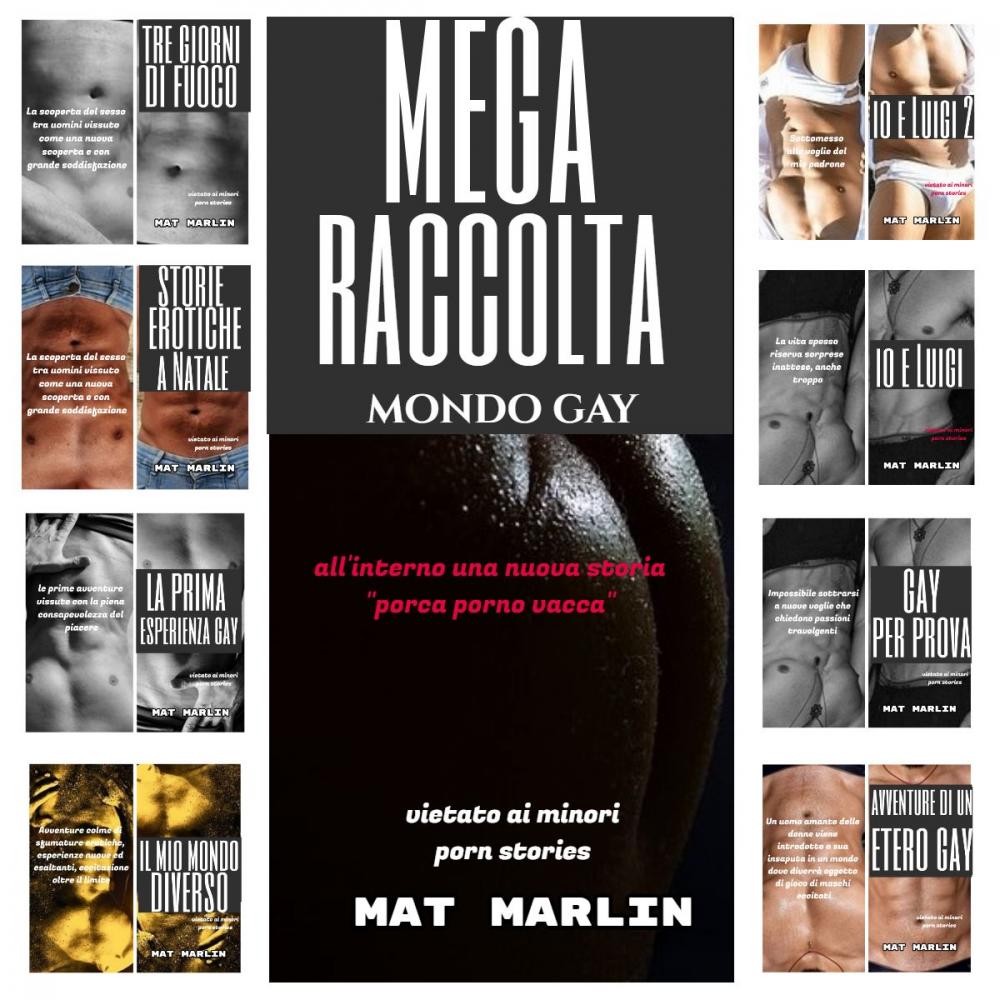 Big bigCover of Mega raccolta mondo gay (porn stories)