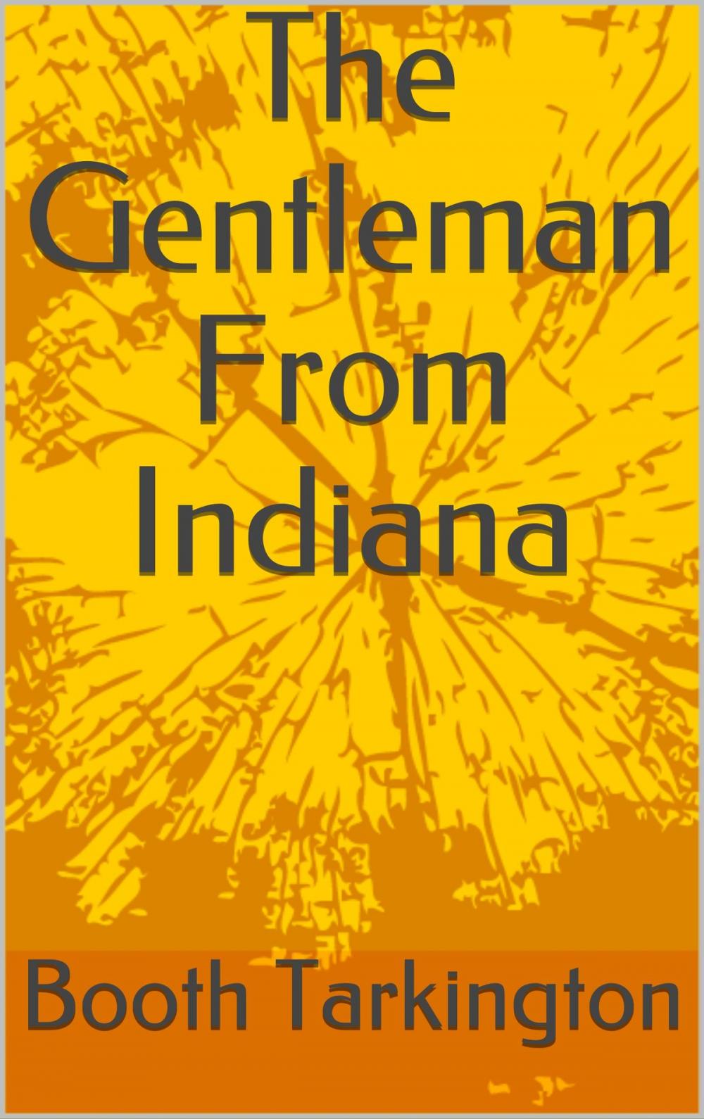 Big bigCover of The Gentleman From Indiana