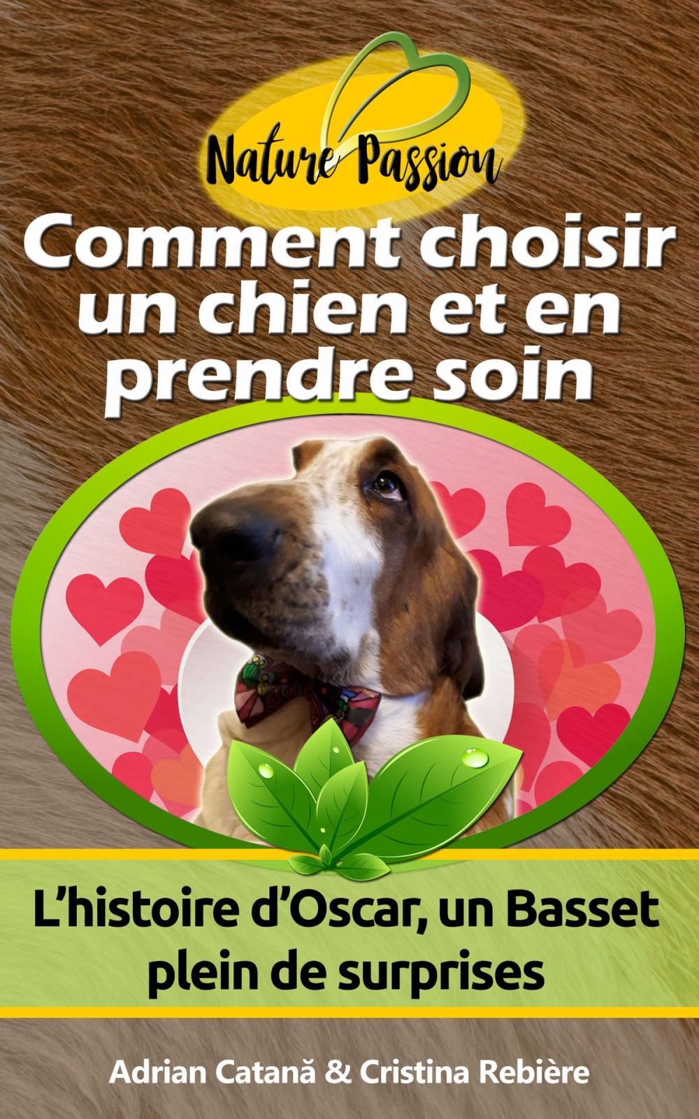 Big bigCover of Comment choisir un chien et en prendre soin