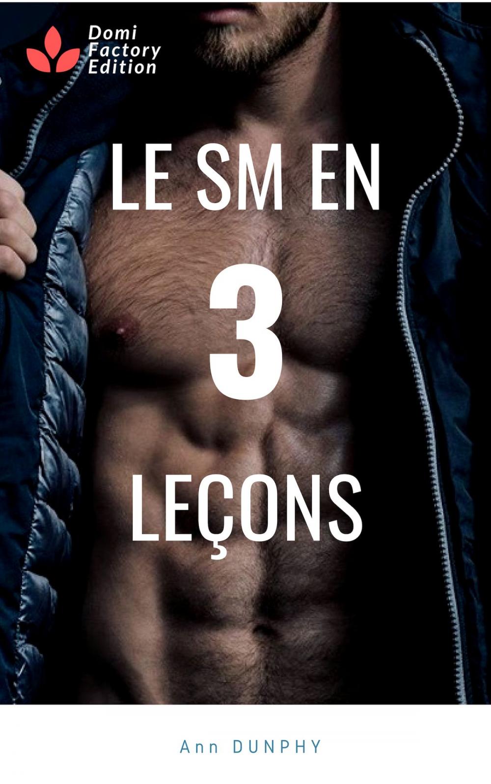 Big bigCover of Le SM en trois leçons