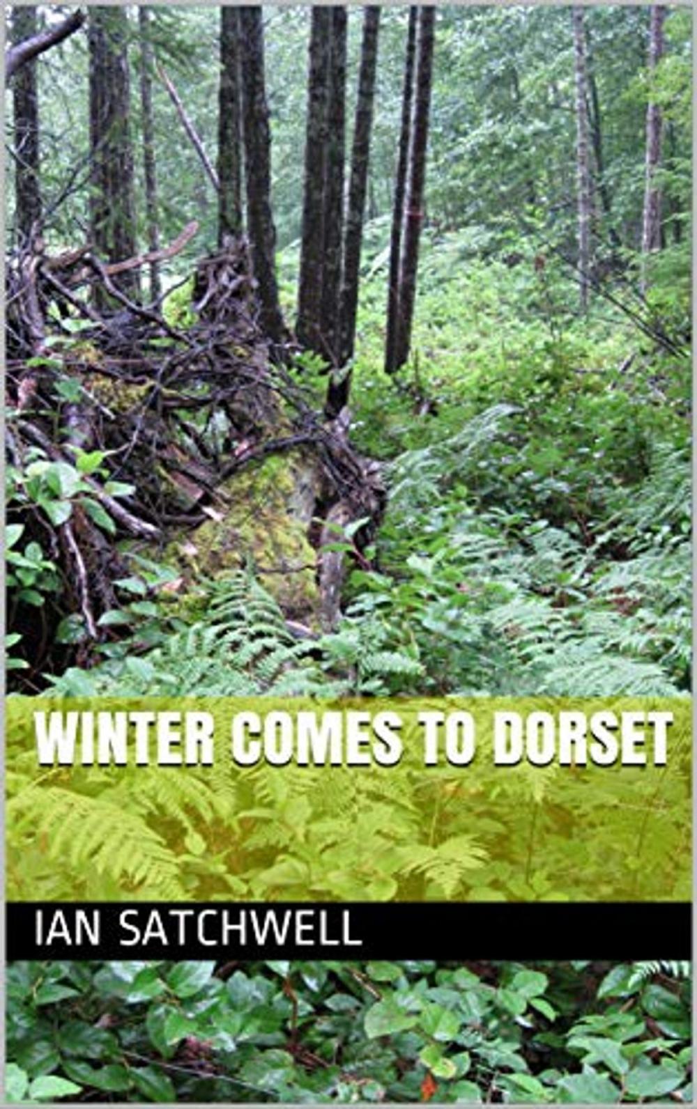 Big bigCover of Winter comes to Dorset