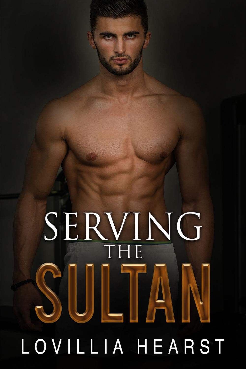 Big bigCover of Serving The Sultan