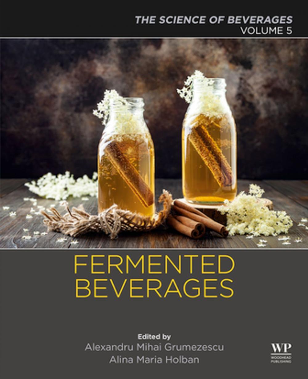 Big bigCover of Fermented Beverages